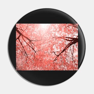 Cherry tree blossoms in Living Coral Pantone color 2019 Pin