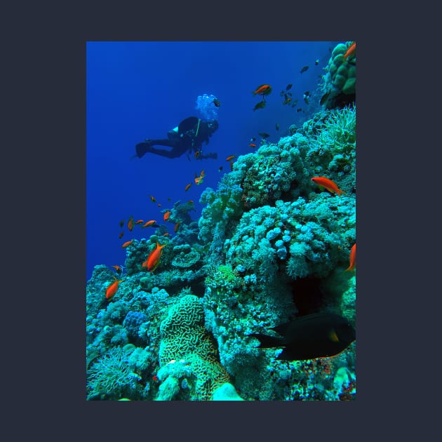 Scuba diver and coral reef by likbatonboot