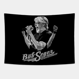 Bob seger Legend rock and roll Tapestry