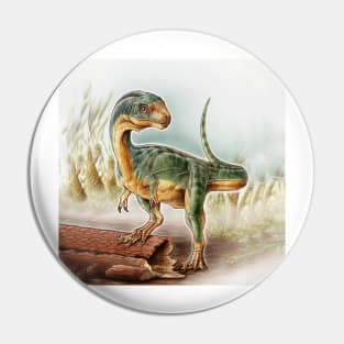 Dinosaur Baby Pin