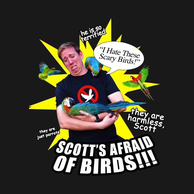 SCOTT IS AFRAID OF BIRDS by The Comedy Button