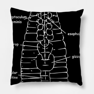 Earthworm (Lumbricus terrestris) anatomy, white Pillow