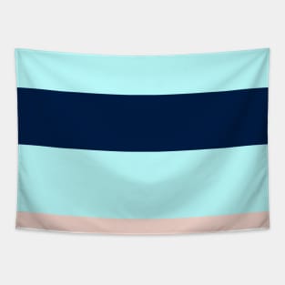 The onliest mix of Oxford Blue, Blue Sapphire, Sea, Pale Cyan and Pale Pink stripes. Tapestry