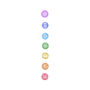 The Seven Chakras T-Shirt