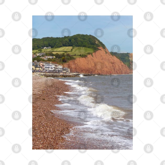 Sidmouth, Devon by Chris Petty