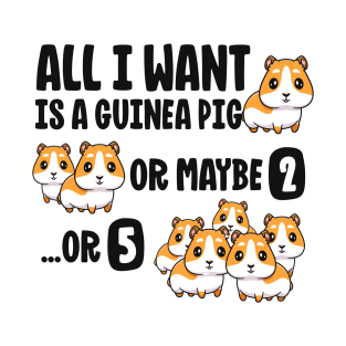All I Want Is A Guinea Pig Shirts For Kids Boys Girls Gift T-Shirt