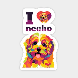 necho Magnet