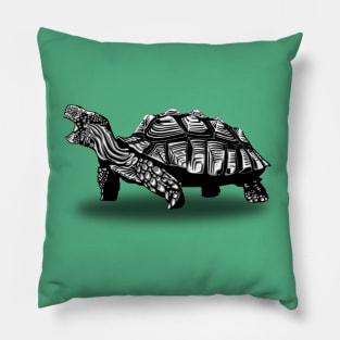 Tortoise Pillow