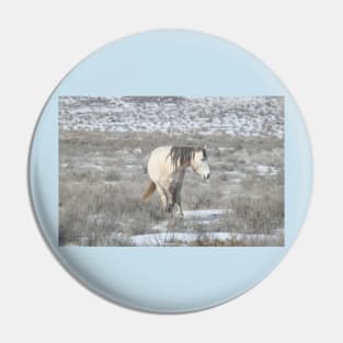 Wild horses, Arizona, nature, wildlife, gifts Pin