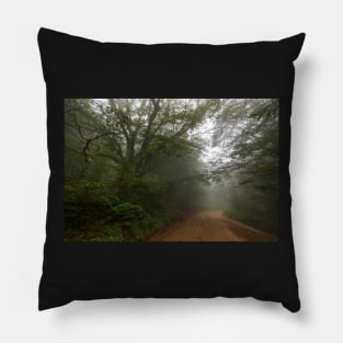 Road through misty forest Pillow