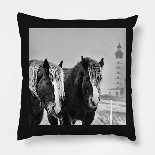 Horses of St Mathieu in the snow Pillow by rollier