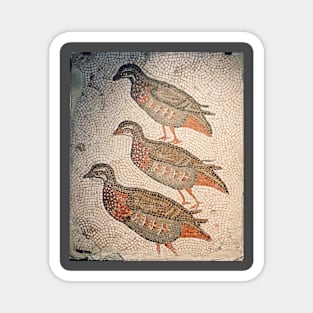 3 Partridges of Las Villares Magnet