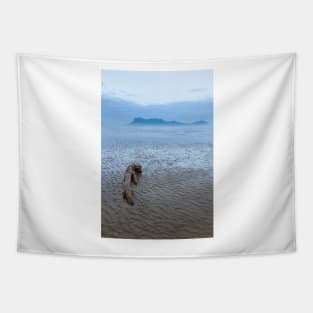 Dawn at beach in Bako national park Borneo Malaysia Tapestry