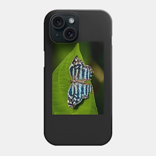 Striped Butterfly on a Leaf Phone Case