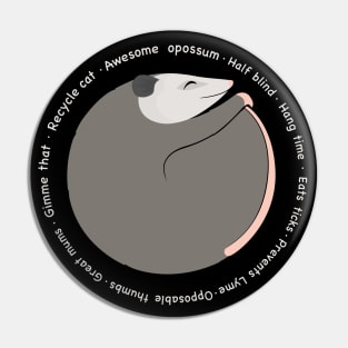 Awesome Opossum - Great Things About Opossums Pin