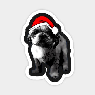 Feliz Navidog Magnet