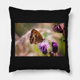 Meadow Brown Butterfly Pillow