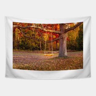 Tree Swing In Autumn Tapestry