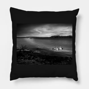 Pelicans at Sunset in Back and White Pillow