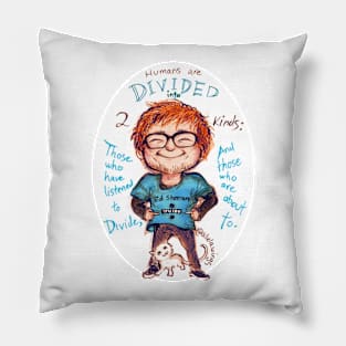 Mathematic Masterpiece Pillow