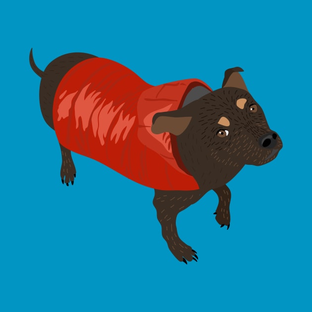 Brown Dog in a Red Puffer Jacket by Alissa Carin