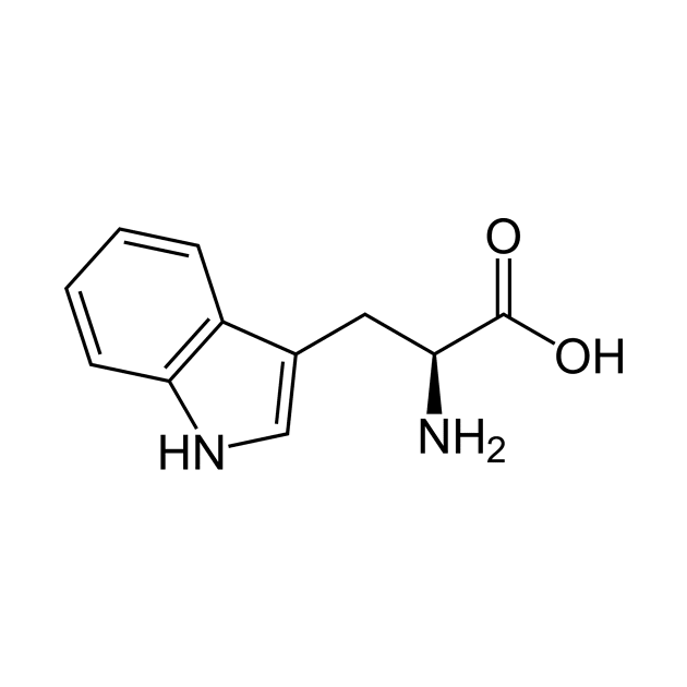 Tryptophan Molecule by Calculated