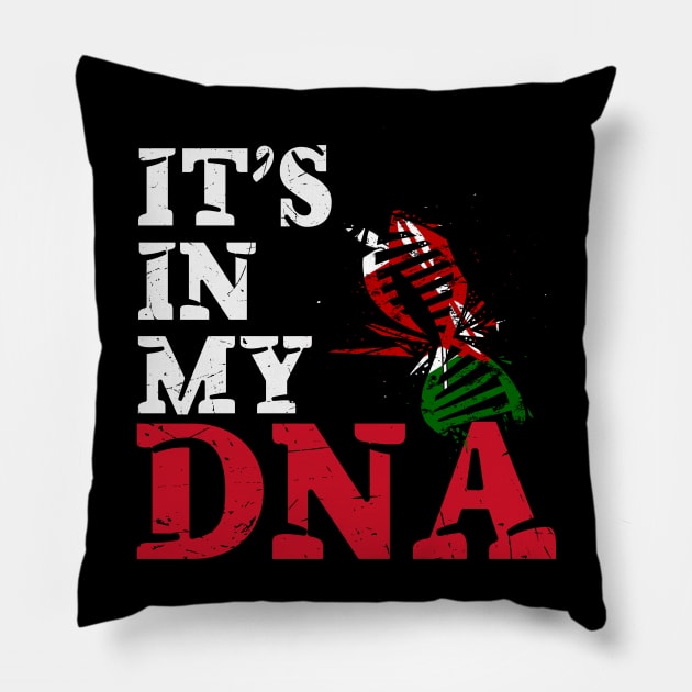 It's in my DNA - Kenya Pillow by JayD World