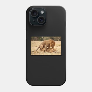 Apparent Tenderness. Lions Copulating, Maasai Mara, Kenya Phone Case