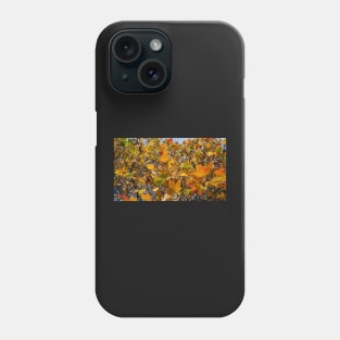 Red and orange autumn leaves on the tree Phone Case