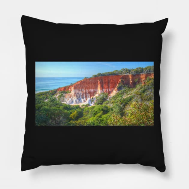 The Pinnacles .. A Closer View Pillow by Michaelm43