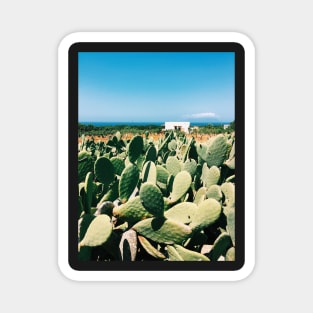 Sicilian Cacti Magnet