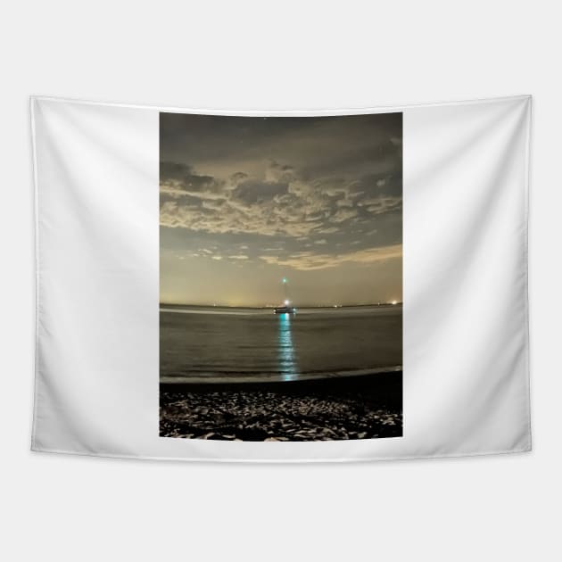 Boat in sea grey scale Tapestry by TommyJ Art