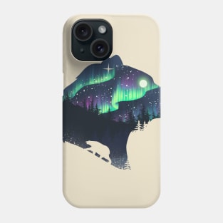 Northern Lights Phone Case