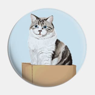 Box Kitty Pin