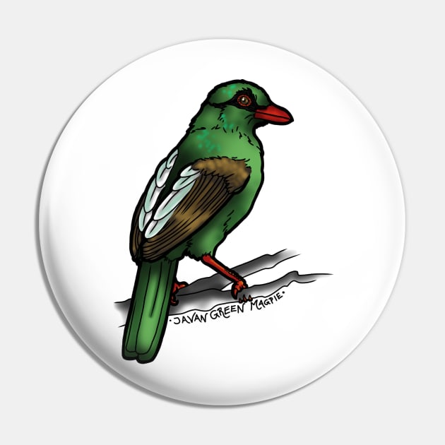 Javan Green Magpie 2 SING FOR SONGBIRDS Pin by CelticDragoness