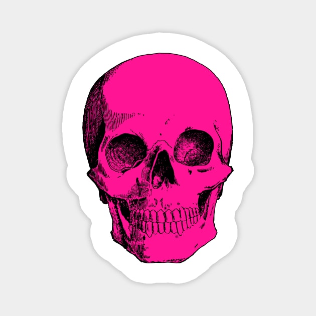 Pink Skull Magnet by JadeTees