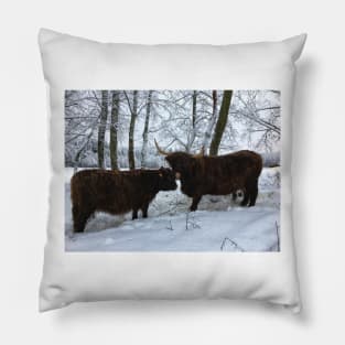 Scottish Highland Cattle Cow and Calf 1626 Pillow