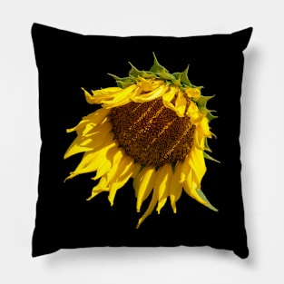 Sunflower Sunshine Shadows Pillow