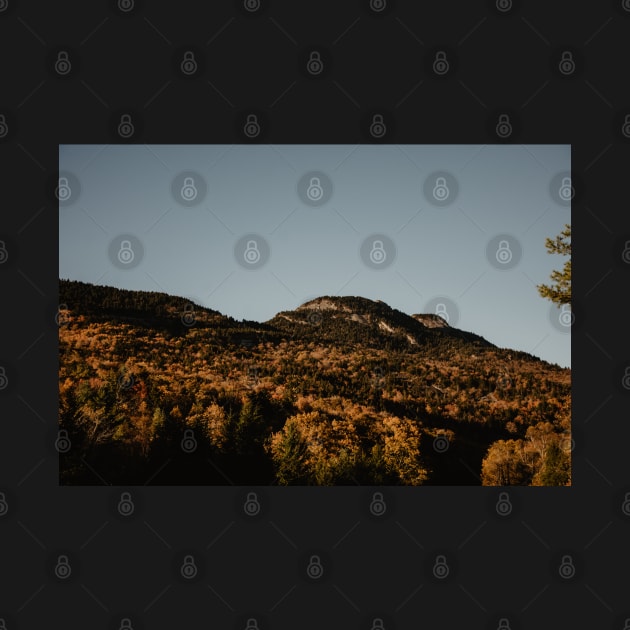 Fall View of Grandfather Mountain by LindsayVaughn