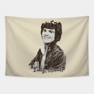 Retro Vintage Aesthetic - Donald Clark Osmond Tapestry