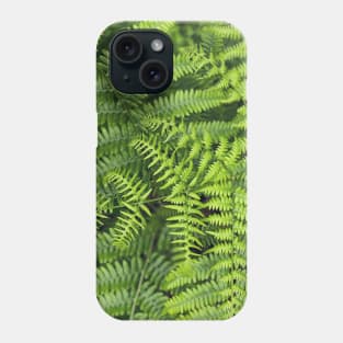 Ferns Phone Case