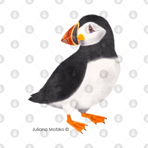 Puffin Bird by julianamotzko