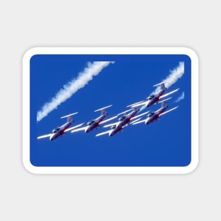 Canadian Forces Snowbirds Magnet