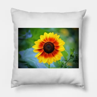 Yellow Red Sunflower Pillow