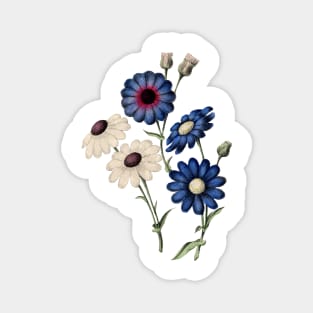 Spring Flowers Magnet