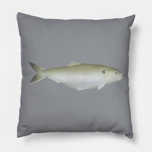 Twaite Shad Pillow