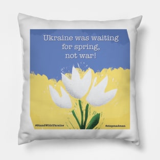 Ukraine was waiting for spring... Pillow