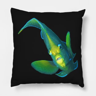 Angelfish | Posing against a black background | Pillow