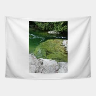 River Rock Pool Tapestry