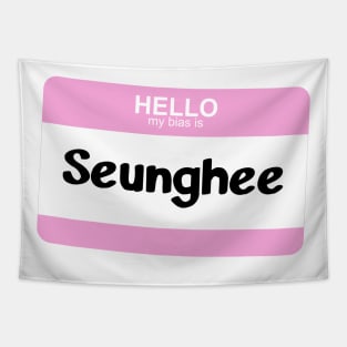 My Bias is Seunghee Tapestry